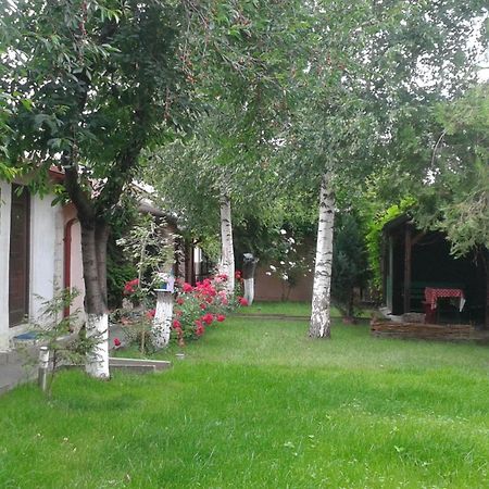 Camping Paradisul Soferilor Onesti Exterior foto